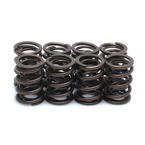 Orient Express Valve Springs