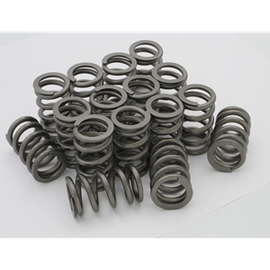 Carpenter Racing Valve Springs