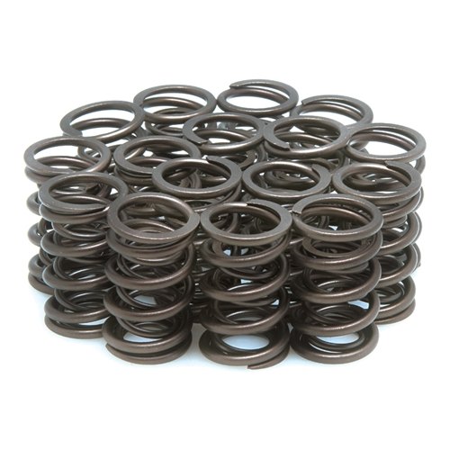 Orient Express Valve Springs